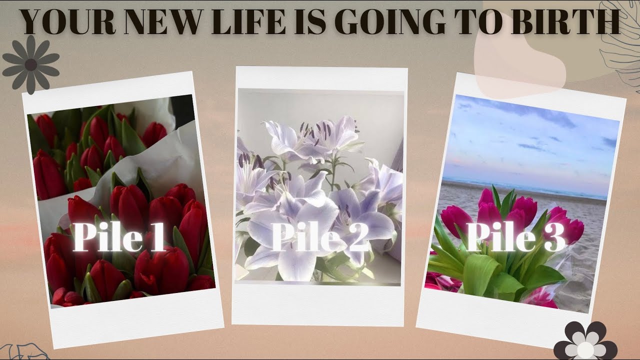 မကြာခင်မွေးဖွားလာမယ့်မင်းရဲ့ဘဝသစ်လေး😌