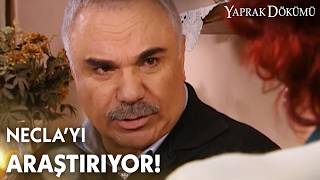 Necla nerede çalışıyor? - Yaprak Dökümü Özel Klip