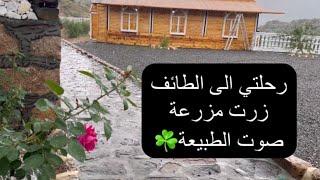 فلوق رحلتي الى #الطائف | مزرعة صوت الطبيعة| مطعم ايلول لبنان | اجواء الشفاء مع الامطار 🌧