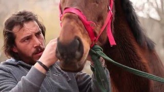 Yaşamın anlamı değer verince başlar. (OMAR ÇAVUŞ ÇİFTLİĞİ)