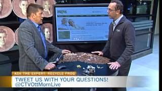 Ask the Expert: Recycle Frog 1
