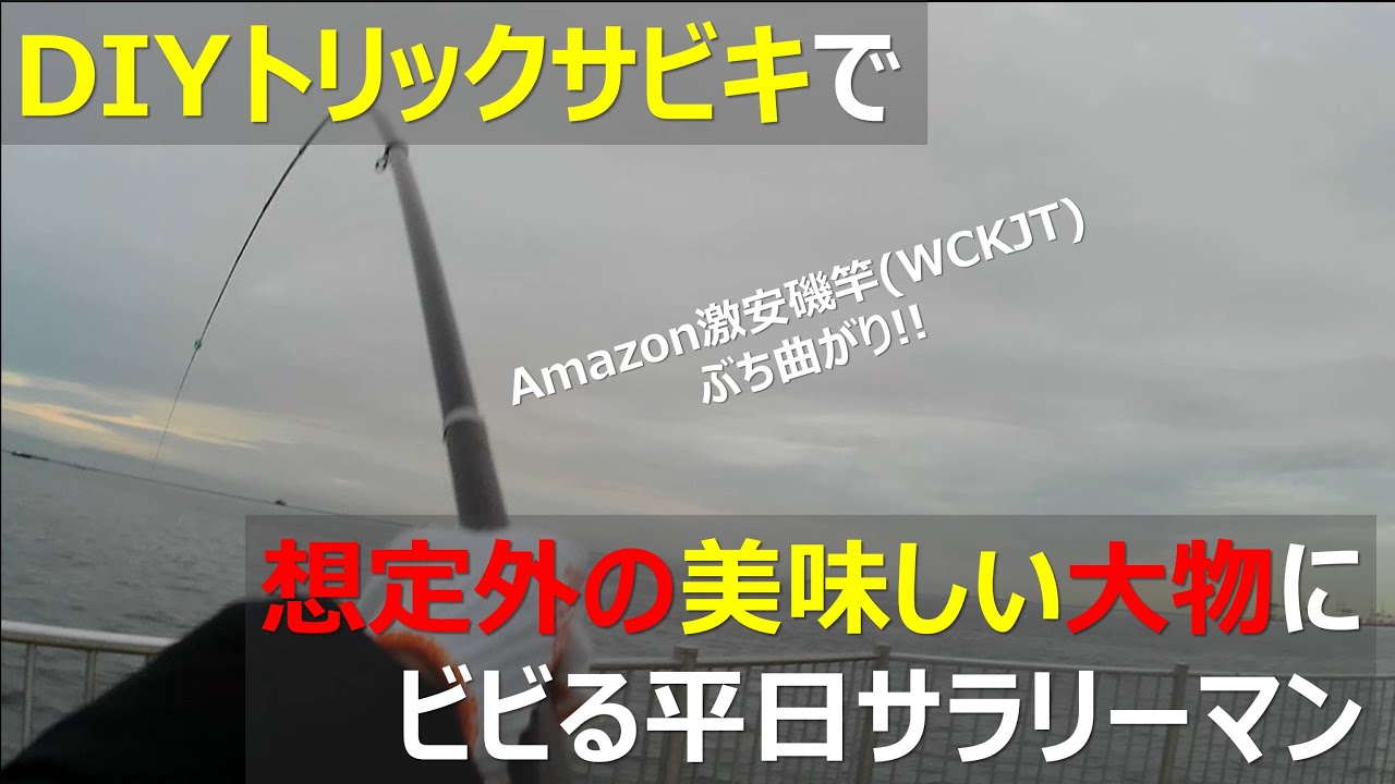 トリックサビキ仕掛け(自作)でアジを狙ったら予想外の美味しい大物が