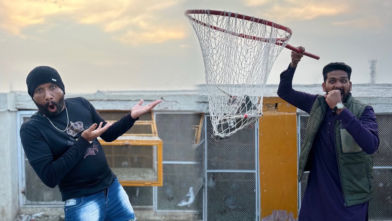 Aaj kisi ka racer kabutar utar liya 😱😳