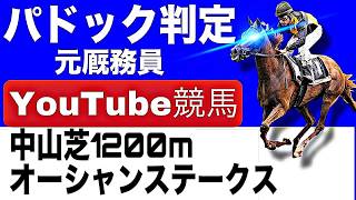 オーシャンステークス2026完全予想！今年の注目馬とパドックを徹底解説！