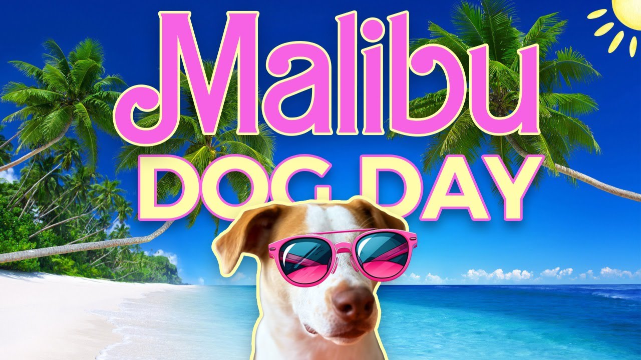 Dog Friendly Malibu Day Trip 2026 • Hike, Beach & Brews 