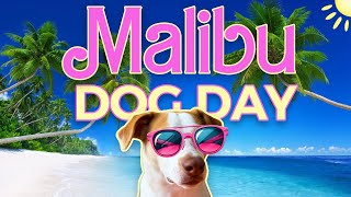Dog Friendly Malibu Day Trip 2026 • Hike, Beach & Brews #dogfriendly #malibu #cutedog #mayasayshiya