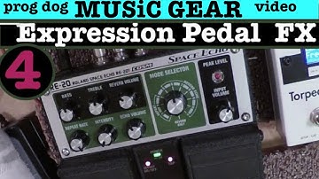 Expression Pedal Functions You Should Know "Space Echo RE 20 Pedal"