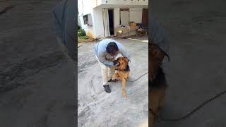 Deworming and general checkup