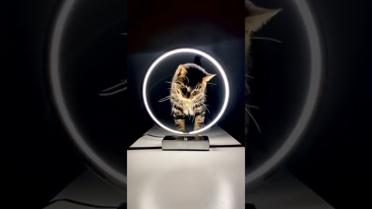 Veera Raghavan || hold on memes(sunny and shan)