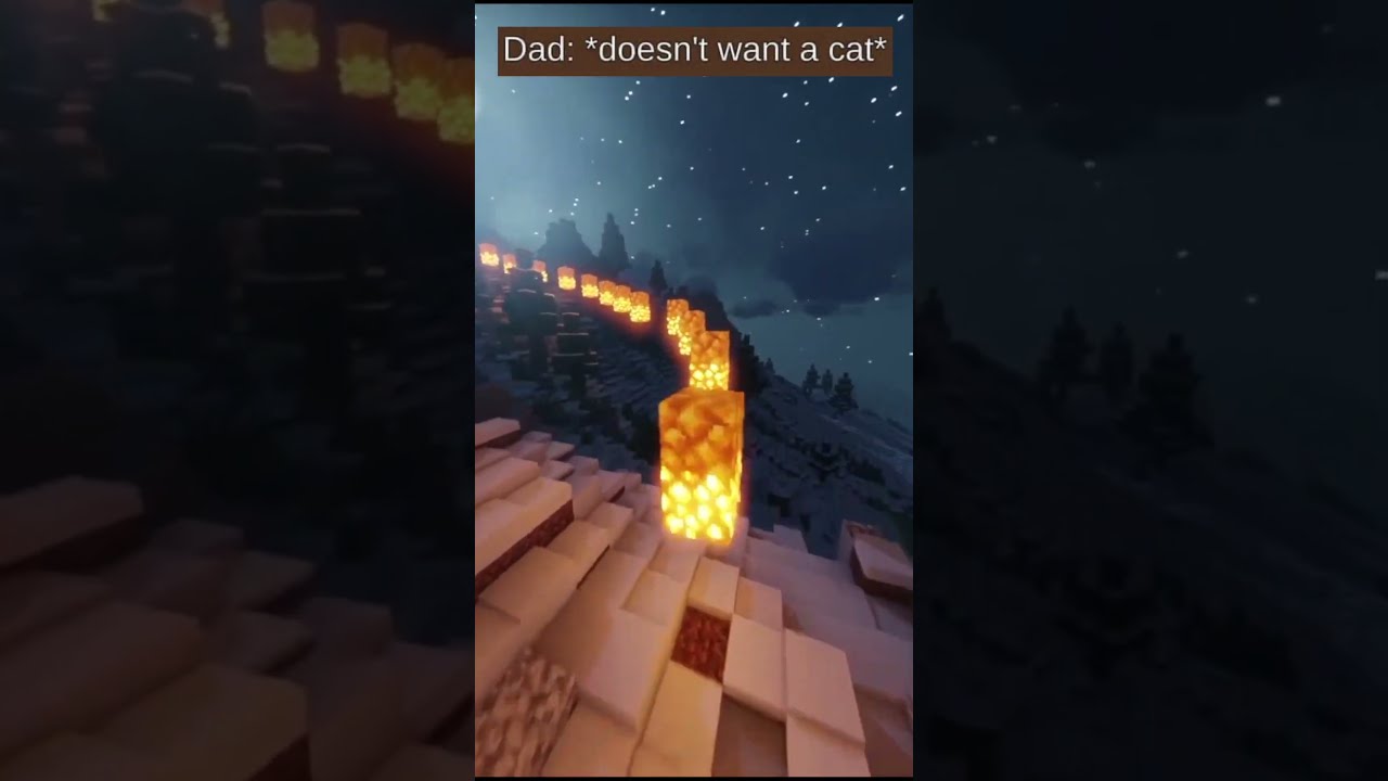 Some Memes I Found Episode 11 Shorts Meme