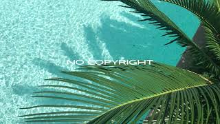 Giant Cactus - Missing You (No Copyright)