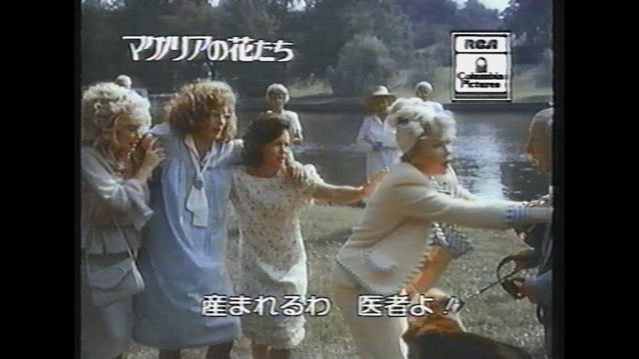 映画「マグノリアの花たち」(1990)日本版予告編 Steel Magnolias