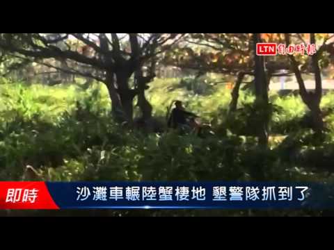 沙灘車輾陸蟹棲地 墾警隊抓到了 - 沙灘車輾陸蟹棲地 墾警隊抓到了