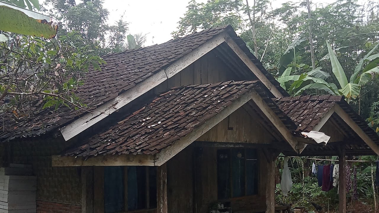 Jalan - Jalan Siang Hari Melintas Kebun Karet 