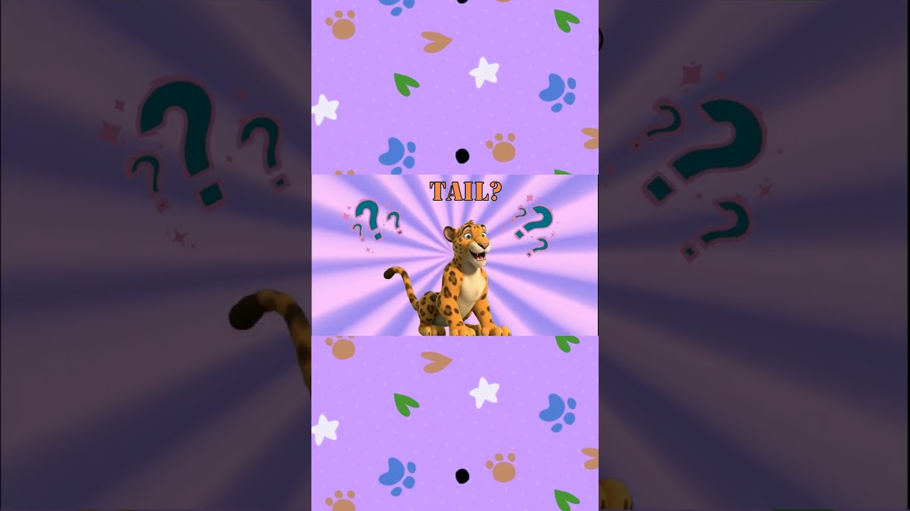 Leopard Where Is Your Tail? 