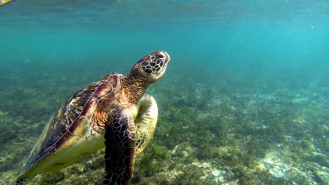 Highlights of the Philippines 2017