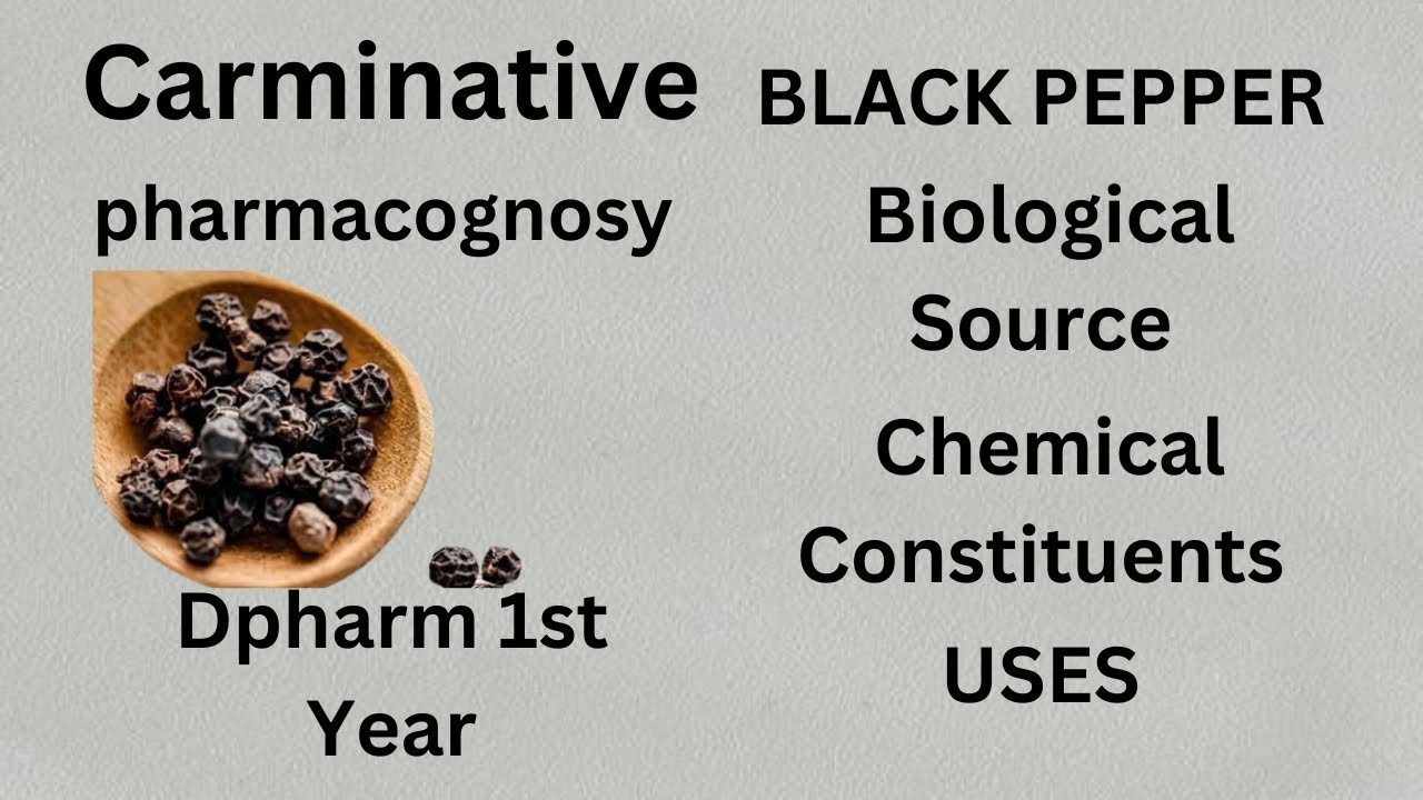 Black Pepper Carminatives Pharmacognosy Dpharm Crude Drug Hindi