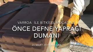 Erken İlkbahar ve Arıların Son Durumu