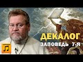 10 ЗАПОВЕДЕЙ. НЕ ПРЕЛЮБОДЕЙСТВУЙ. Заповедь 7-я (аудио).   Протоиерей Олег Стеняев