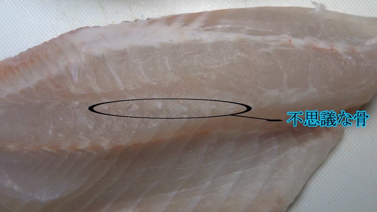 津本式究極の血抜き トガリエビス 塩当てによる熟成 編 7 1 津本式究極の血抜き Fishrecipes Agedfish トガリエビス Youtube