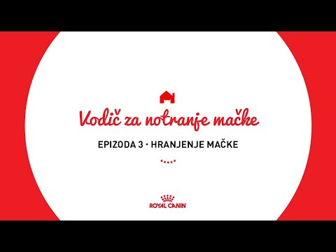 Video: Mačja Prehrana: Vodnik Po Hranilih Za Mačjo Hrano