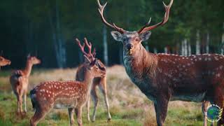 Hilari Henriques | Daily Devotional | Our Daily Bread | 1/6/2024