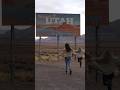 Girls Trip to Utah #utahisrad #roadtrip #usatravel #deserttrip #shorts