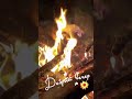 #огонь #костёр #beautiful #shorts #fire #красота #пламя #goodevening #добрыйвечер #love #любовь #ok