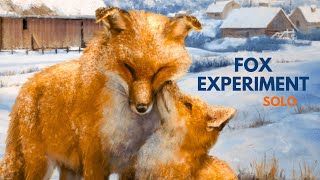 The Fox Experiment | Solo Board Game Tutorial and Playthrough