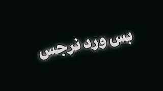 عودة برضاك - انا ورد بس ورد نرجس - الشامي Alshami/  كروما شاشة سوداء اغنية دوالي الجديدة ترند 2024