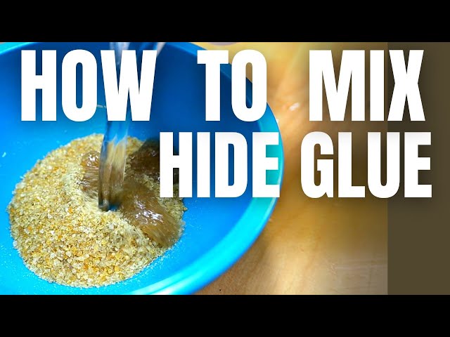 My peculiar nature: The perfect glue - Liquid hide glue success!