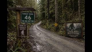 Looking for Sasquatch in The Big Bottom — Forest Rd 46 Investigation