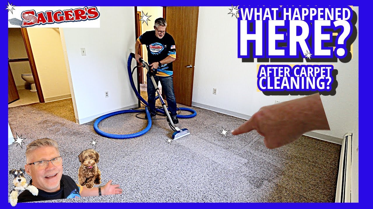 What Happened Here? Will Carpet Cleaning FIX this Matted and Worn