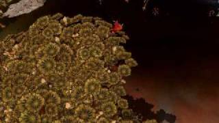 Spore-Nuclear Cluster Bomb