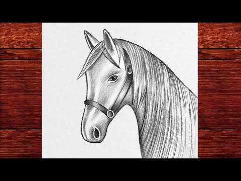 Kolay Adım Adım At Resmi Nasıl Çizilir - Kolay Karakalem At Resmi Çizimi - Bir At Nasıl Çizilir