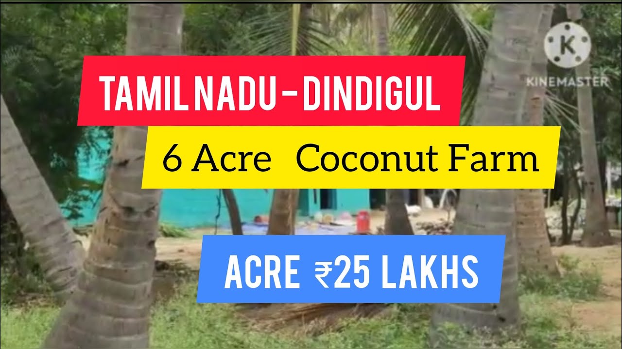 6 Acre Coconut Farm For Sale Dindigul Tamil Nadu (Acre 25 Lakhs) YouTube