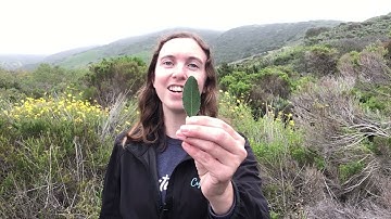 Module 7 Launch Video 4