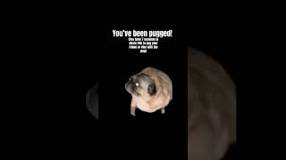Pugging