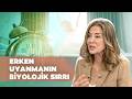 Erken Uyanmak Mutluluğu Nasıl Etkiler? | Dr. Ayşegül Çoruhlu