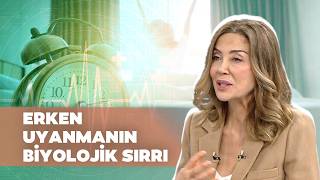 Dopamin Ve Serotonin Hormonları Nasıl Artırılır? Sirkadiyen Ritim Dr. Ayşegül Çoruhlu