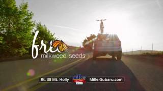 Miller Subaru Loves the Earth