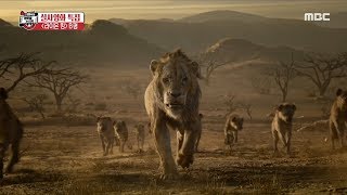 [HOT]  drawback of Lion King , 섹션 TV 20190801