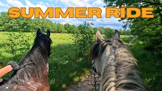 Horseback Riding ASMR | Peaceful Summer Trail Ride in the Netherlands | Nature Sounds (Part 1)