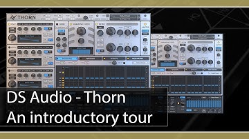 DS Audio Thorn: an introductory tour
