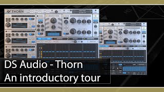 DS Audio Thorn: an introductory tour screenshot 5