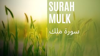 Surah Al Mulk | Beautiful Quran Recitation | By Sheikh Anas Almiman