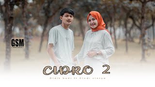 Dj Koplo Cidro 2 - Didik Budi feat Cindy Cintya  I  