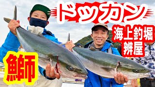 Sea Fishing Pond] Catch the king of bluefish, the yellowtail! Try