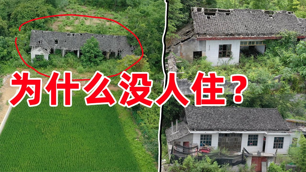 农村这样的现象越来越严重，大片荒废的土地和没人居住的房屋，究竟发生了什么