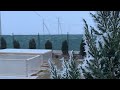 Обзор сада 14 февраля | -8 градусов на юге